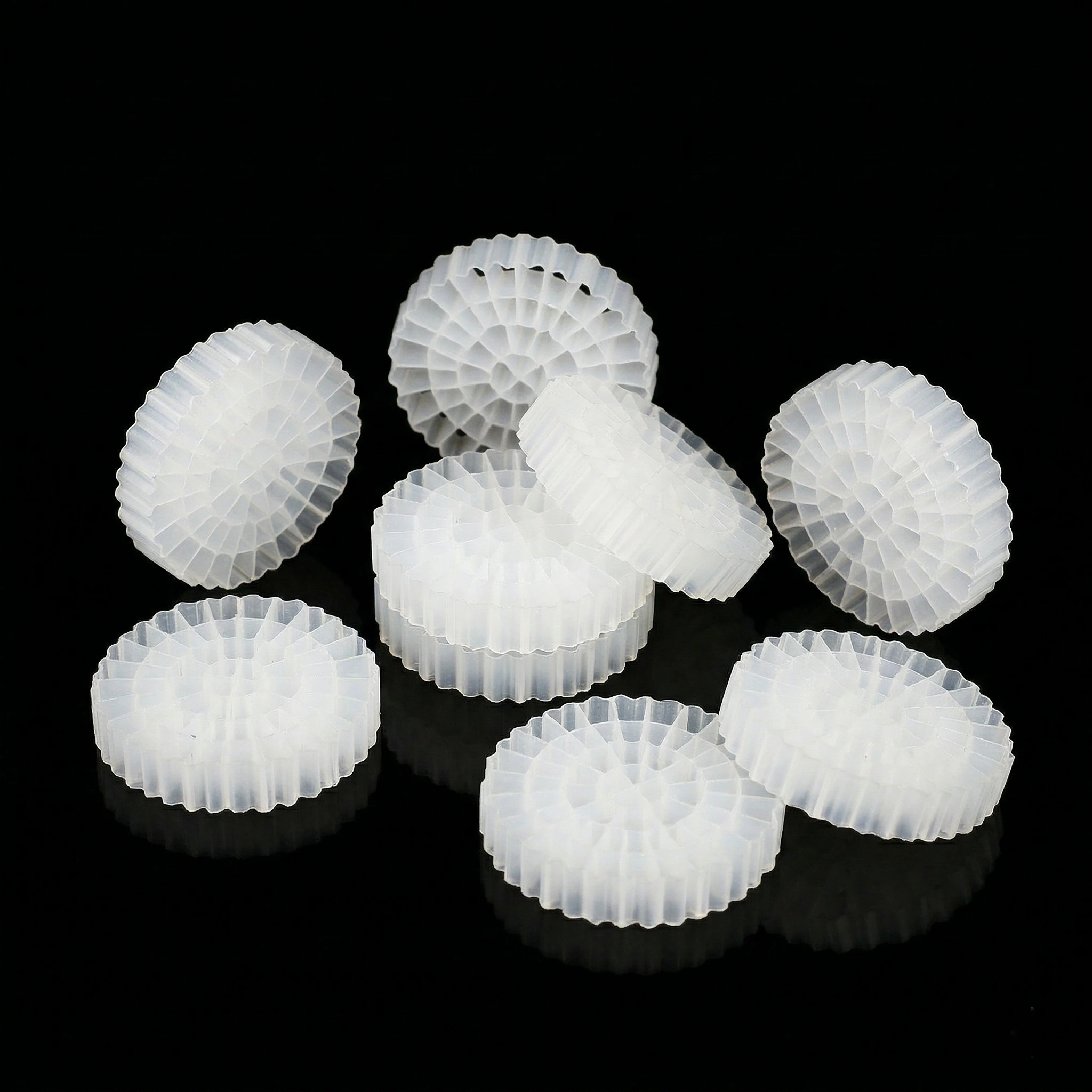 K5 bio media